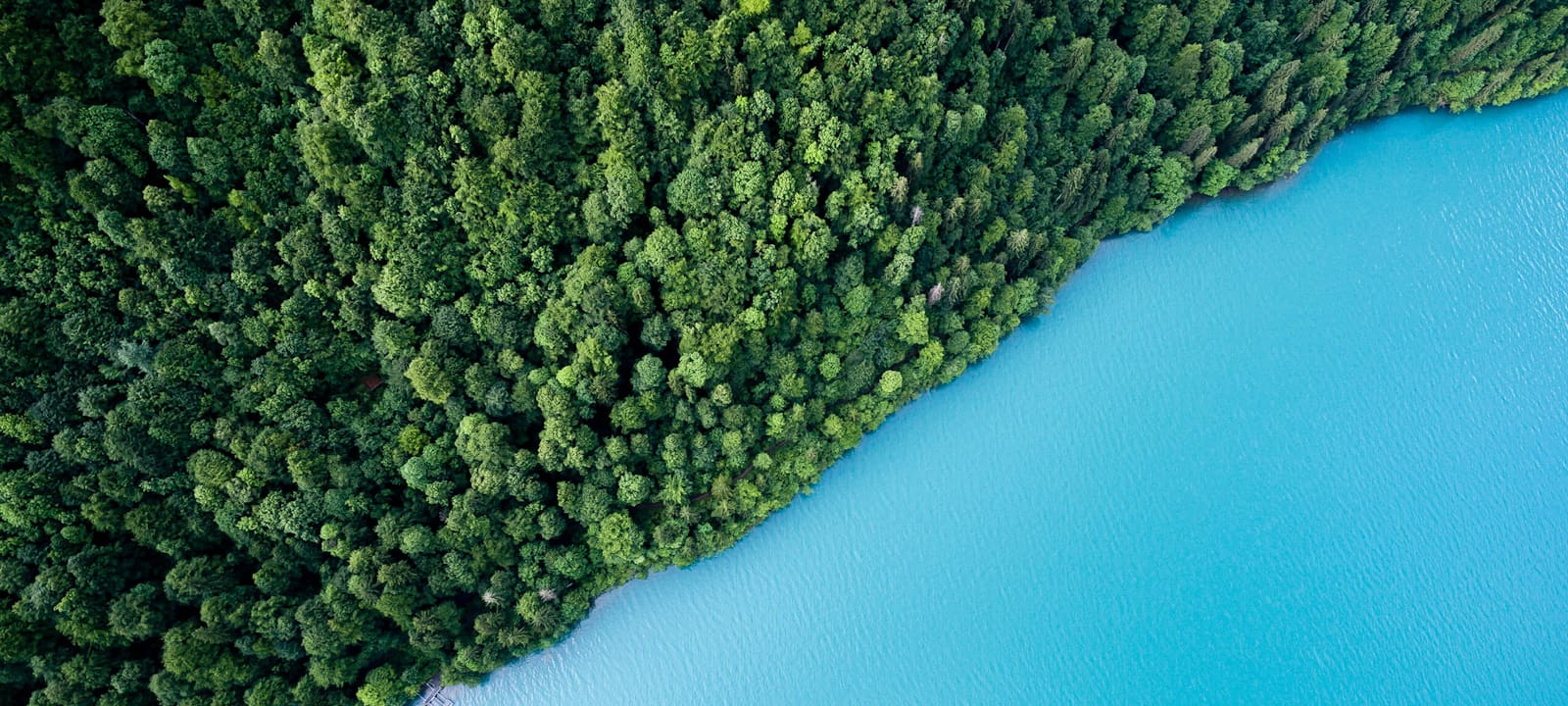 An aerial view of a lakeside camp surrounded by forest.