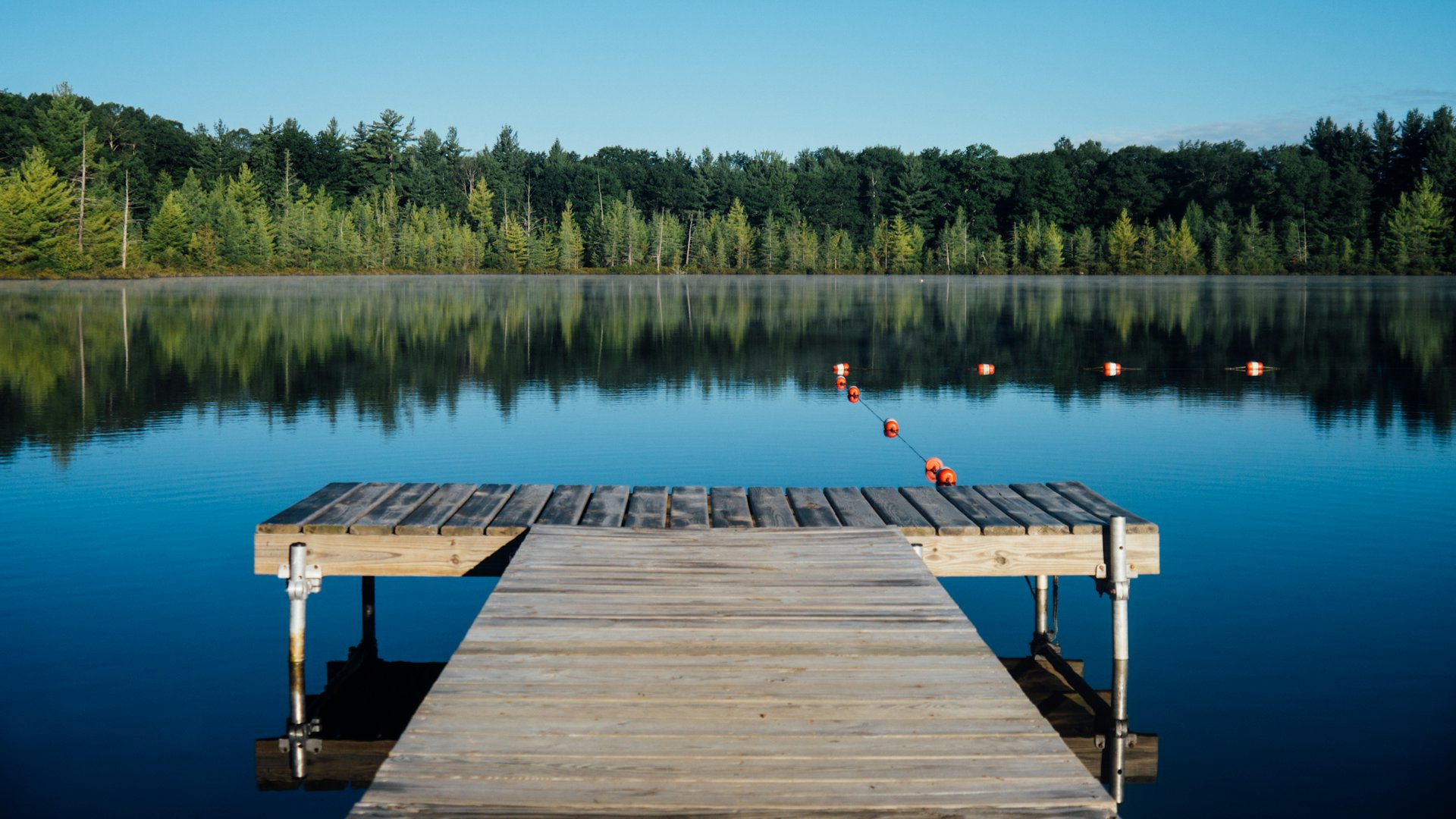 A calm camp waterfront at dawn: canoes drawn up on a shoreline below evergreen woods.