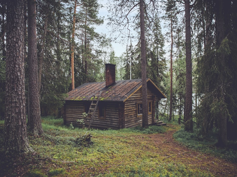 Wooden camp cabins set among tall pines.